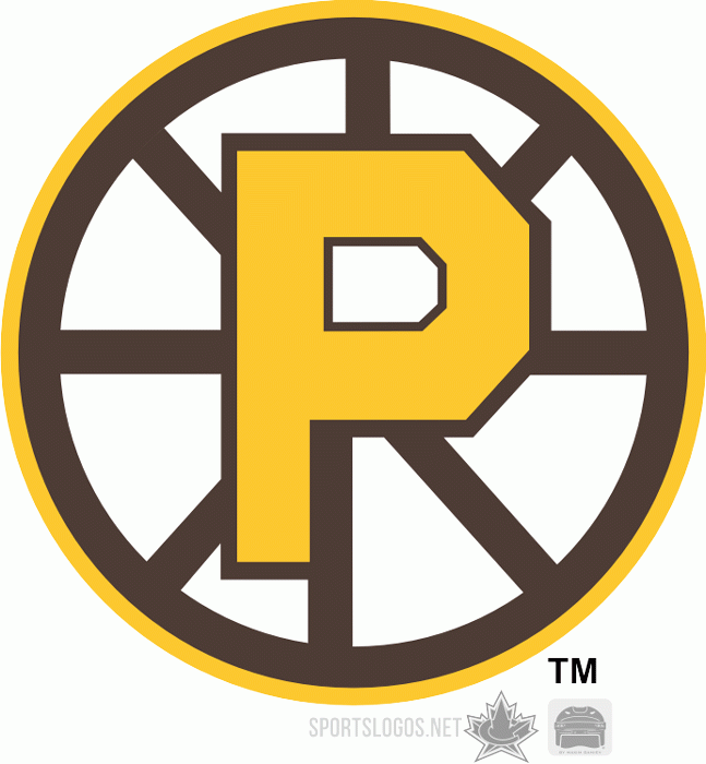 Providence Bruins 2009 10-Pres Alternate Logo iron on transfers for T-shirts